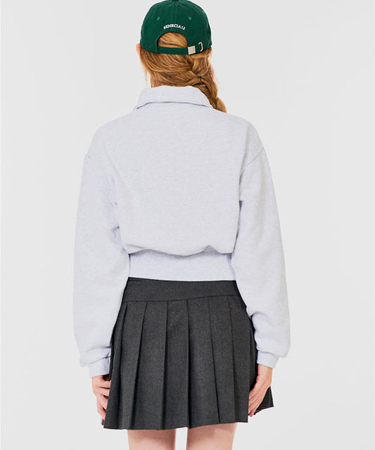 BENECIA 12 Brushed Classic Skirt - Gray