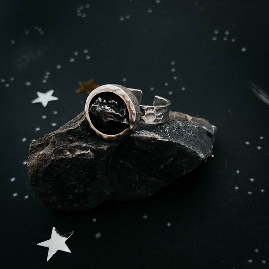 CLEARANCE Chunky Round Raw Meteorite Ring in Silver