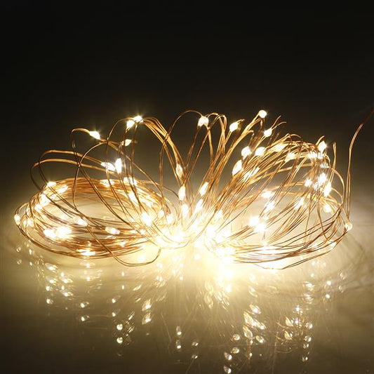 10M 100 LEDs Waterproof USB Copper Wire Decoration String Light